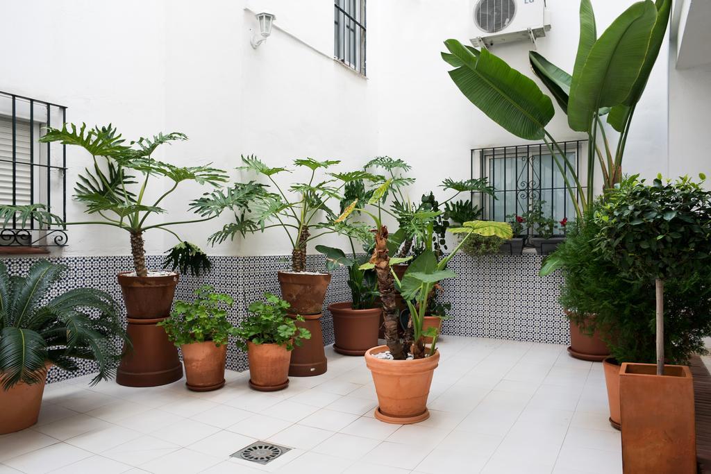 Urbanchicmalaga 3 Bedroom Spacious Quiet Historic Malaga Apt Málaga Exterior foto